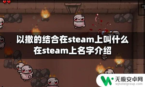 以撒的结合steam名字 以撒的结合在steam上名字怎么写？