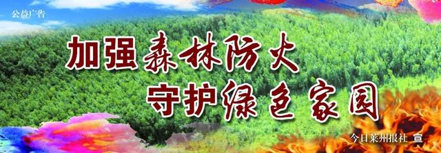 莱州地区抖音群-快乐分享的短视频社交平台.