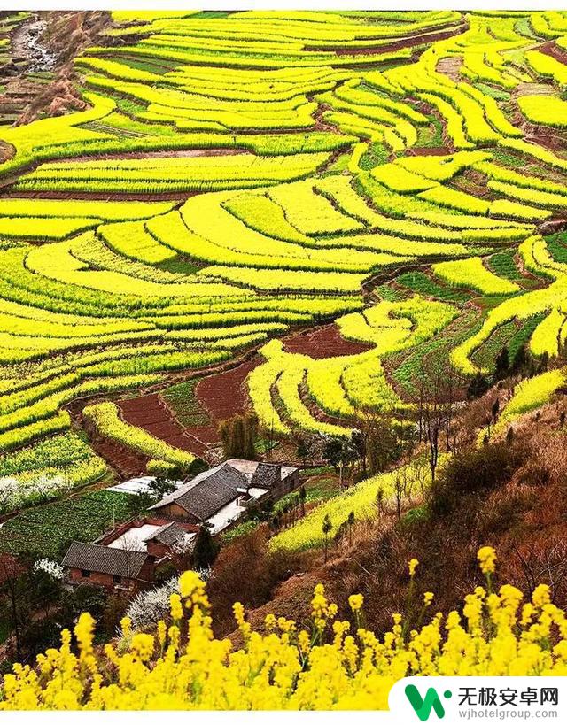 巫山平南村抖音：探寻巫山美丽乡村风光，看平南村小姐姐们的抖音秀！