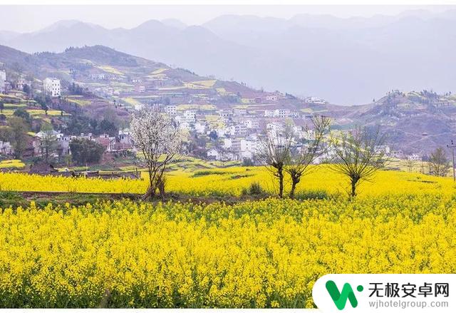 巫山平南村抖音：探寻巫山美丽乡村风光，看平南村小姐姐们的抖音秀！