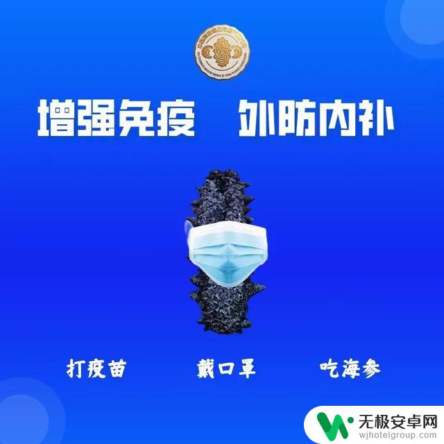 海参行情查看抖音，揭秘海参价格波动原因