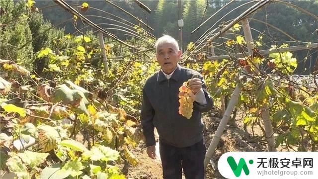 丽水叶红梅抖音 