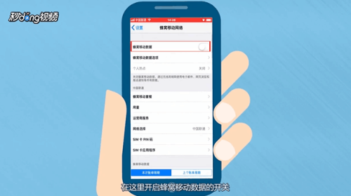 iphone手机流量怎么开 iPhone手机如何开启流量设置