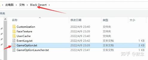 steam上的黑色沙漠 黑色沙漠steam汉化下载