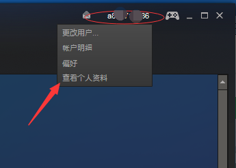 steam怎么展示艺术平 如何在Steam上设置虚拟艺术展览