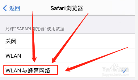 苹果手机如何打开浏览器网络 苹果Safari浏览器如何打开网络权限设置