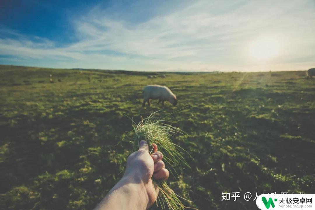 手机170°超广角镜头 手机拍超广角照片的技巧和注意事项