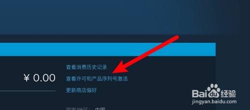 steam怎么查找代码 如何查看Steam游戏激活码