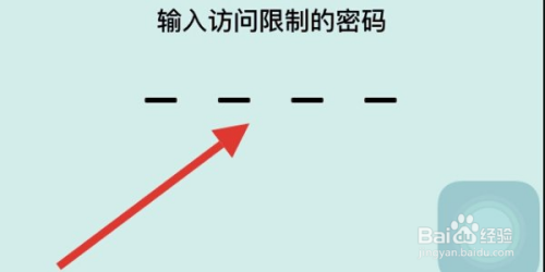 苹果手机12应用锁怎么设置 苹果12应用如何启用加密锁