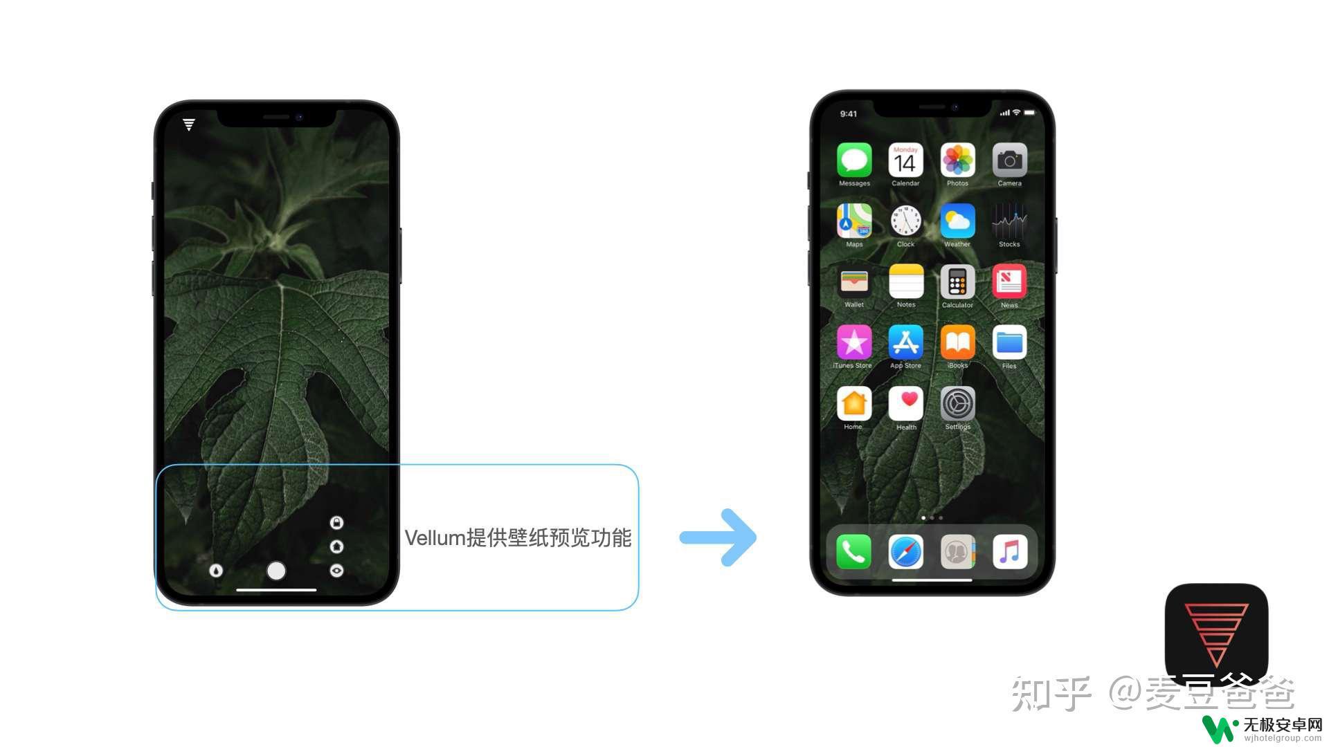 苹果个性手机壁纸 如何利用壁纸与小组件推荐打造个性高效的iPhone桌面