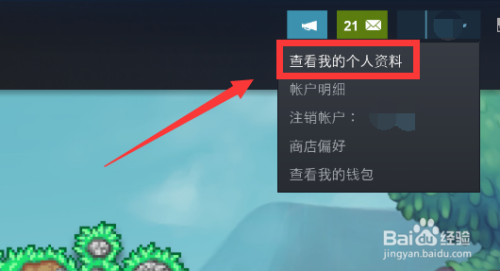 steam怎么隐藏动态 如何在Steam上隐藏个人动态