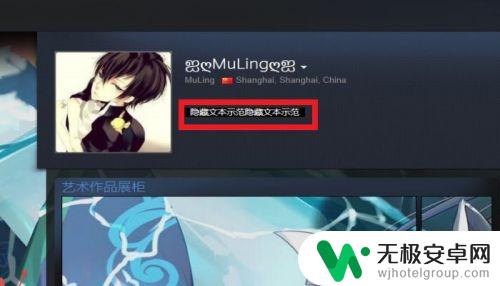 steam怎么隐藏文本 如何在STEAM个人资料界面中添加私密信息？