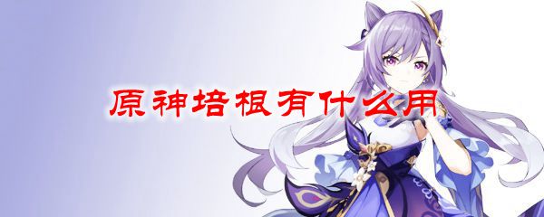 原神培根能做什么菜 原神培根有什么用-原神培根如何获取