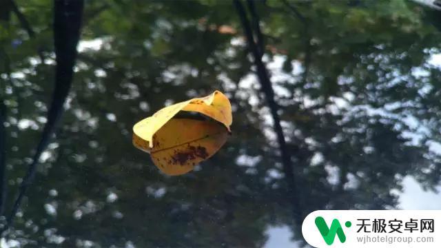手机怎么景深拍摄 如何通过调整光圈获取手机浅景深效果