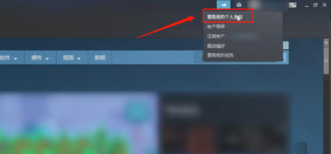 怎么查看steam个人交易url 如何找到自己的steam交易链接地址？