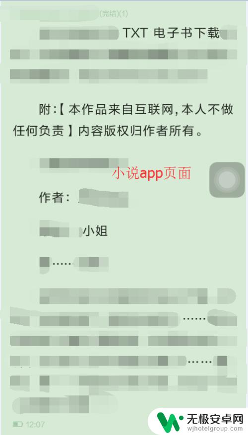 手机怎么看txt格式小说 iphone如何通过阅读器应用打开TXT小说