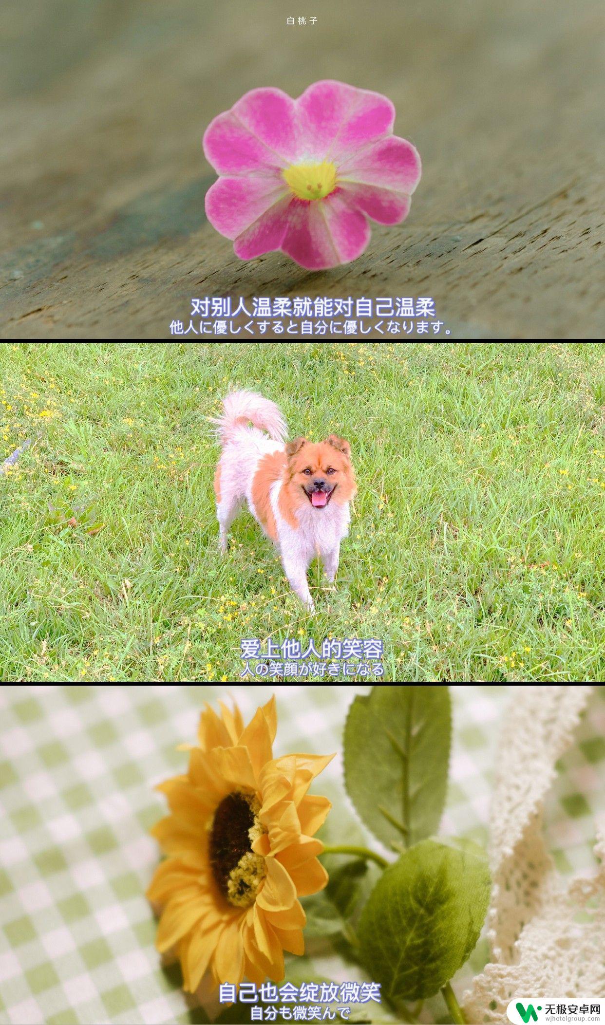适合做手机壁纸的图片 唯美 怎么下载超级好看的手机壁纸?