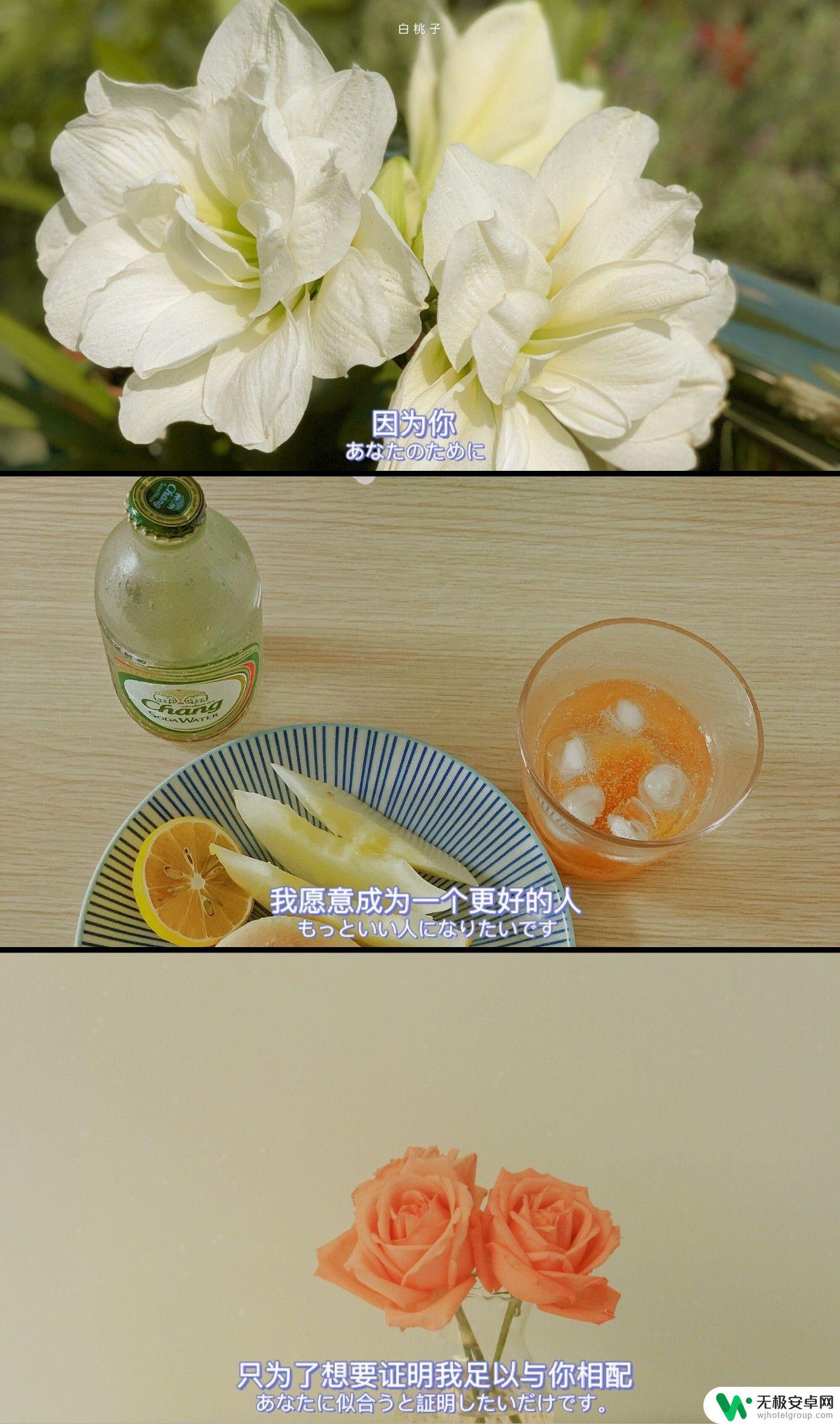 适合做手机壁纸的图片 唯美 怎么下载超级好看的手机壁纸?