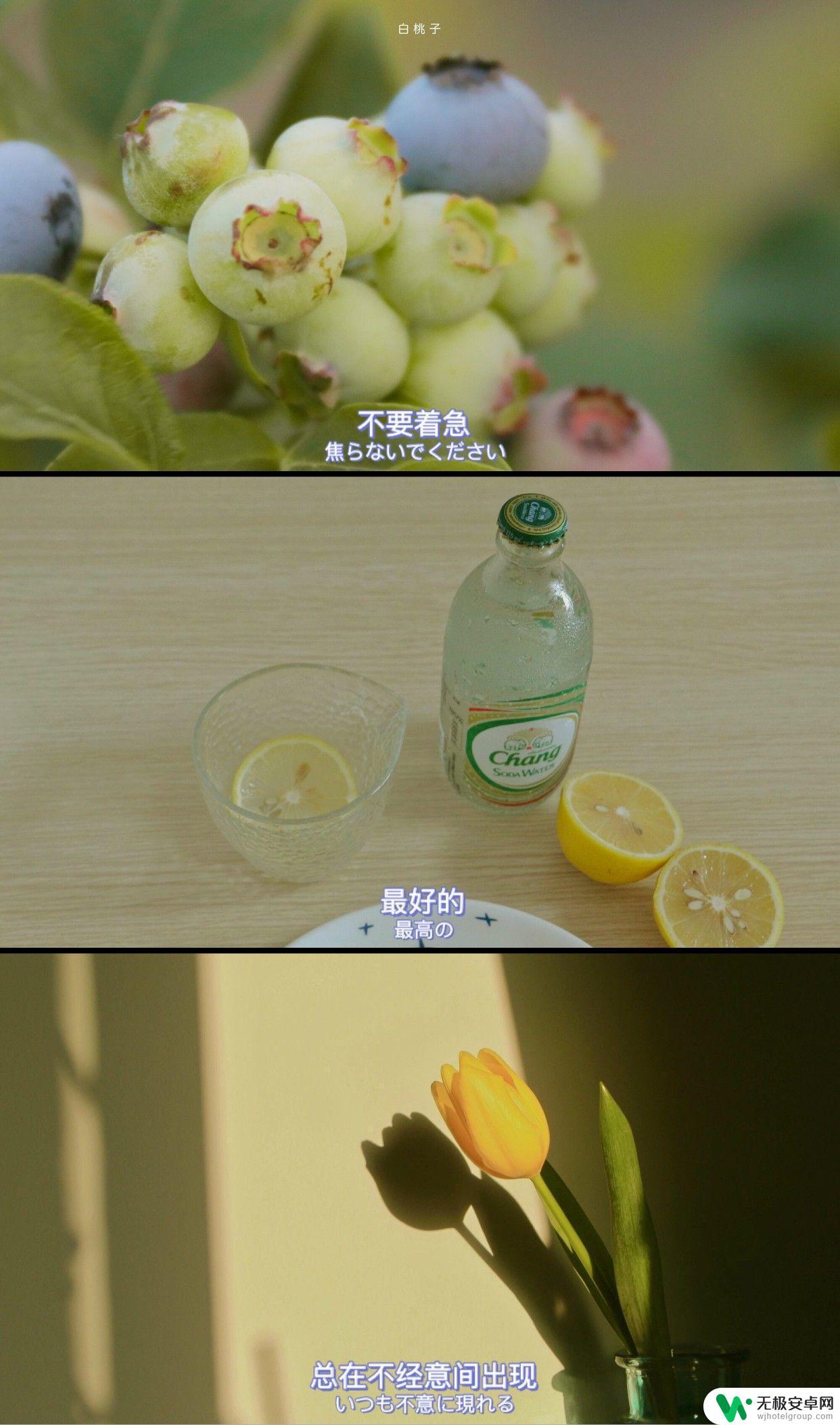 适合做手机壁纸的图片 唯美 怎么下载超级好看的手机壁纸?
