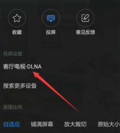 熊猫电视手机投屏设置在哪里 熊猫电视怎么手机投屏到电视？