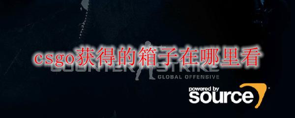 如何在steam里面开箱子 csgo箱子获得记录在哪里查看