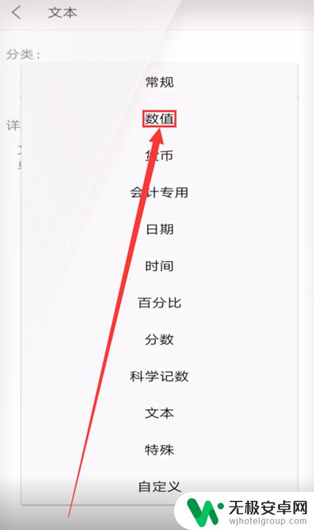 手机wps数字格式设置 手机WPS如何将文本转换为数字格式表格