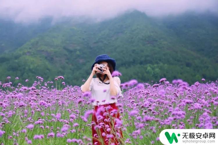 花海个性句子抖音(花海的抖音短句)