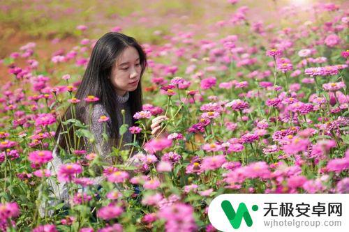 花海自拍抖音模板(花海自拍抖音模板怎么弄)