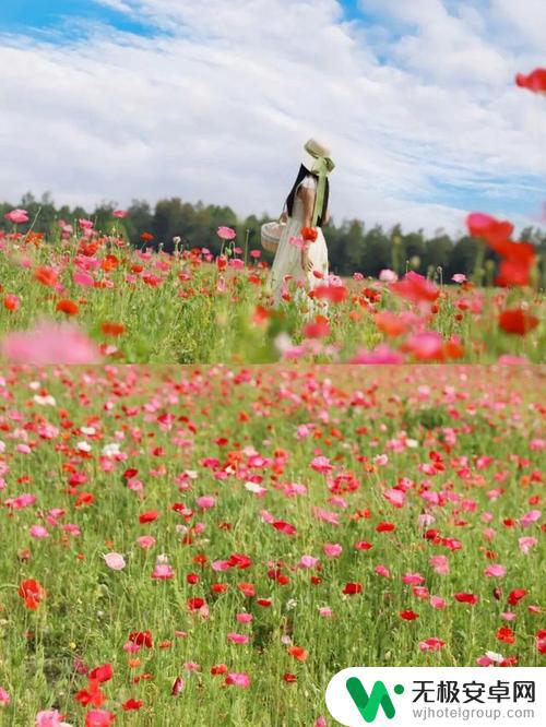 公园花海抖音文案(花海公园朋友圈说说)