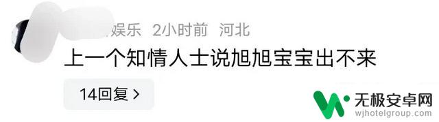 小团团停播,网友感叹PDD飞一般跑路速度笑不活了