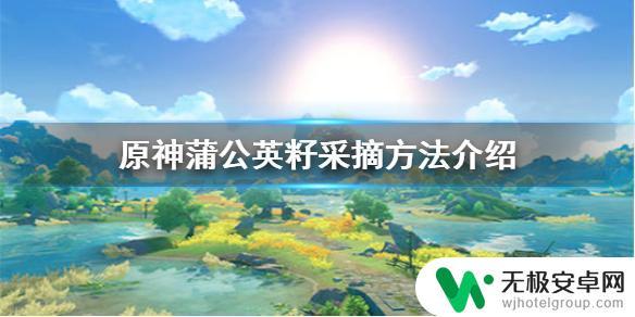 原神中蒲公英怎么采摘 原神手游蒲公英籽采摘位置