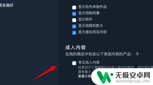 steam成人设置 如何设置不排除游戏 Steam如何限制成人内容显示