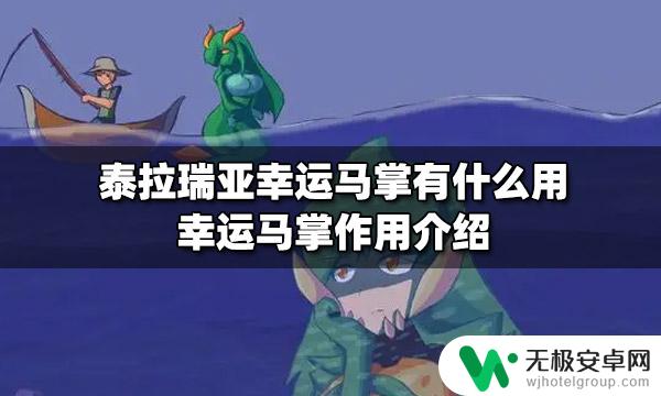 泰拉瑞亚掉落伤害免疫 幸运马掌 有什么作用