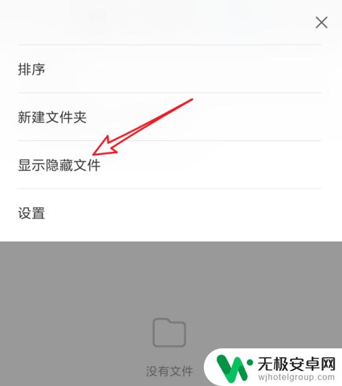 如何显示手机隐藏的文件 安卓手机如何查看隐藏文件