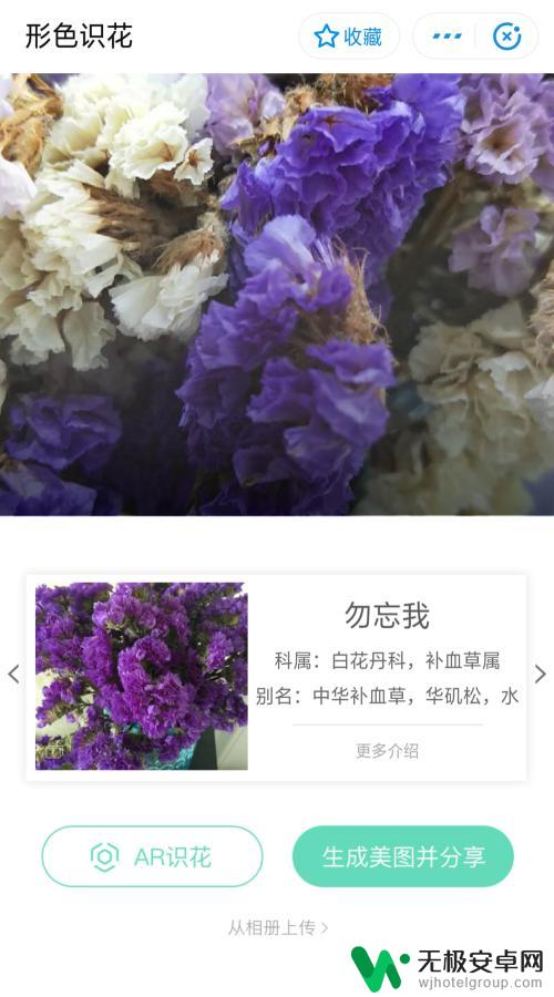 手机如何识别花草名片 不认识的花草怎么识别