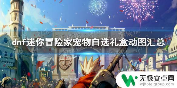 迷你地下城app 地下城与勇士迷你冒险家宠物自选礼盒全宠物动图展示