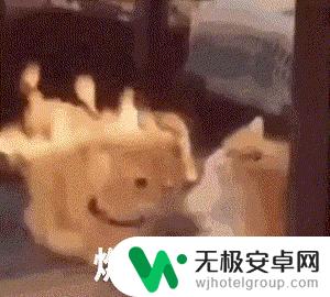 现在购买手机,感觉不必再追求旗舰级产品