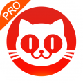 猫眼官方app