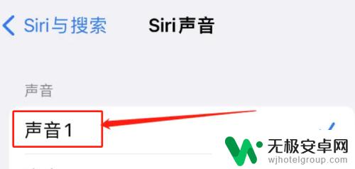 苹果手机siri怎么换声音 如何在iPhone上切换Siri的声音