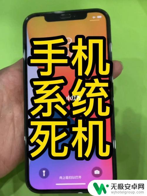 苹果手机6s死机怎么办啊 iphone6s死机怎么办黑屏