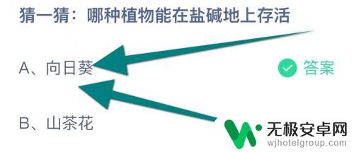 猜一猜哪种植物能在盐碱地存活 蚂蚁庄园中适合在盐碱地上种植的植物