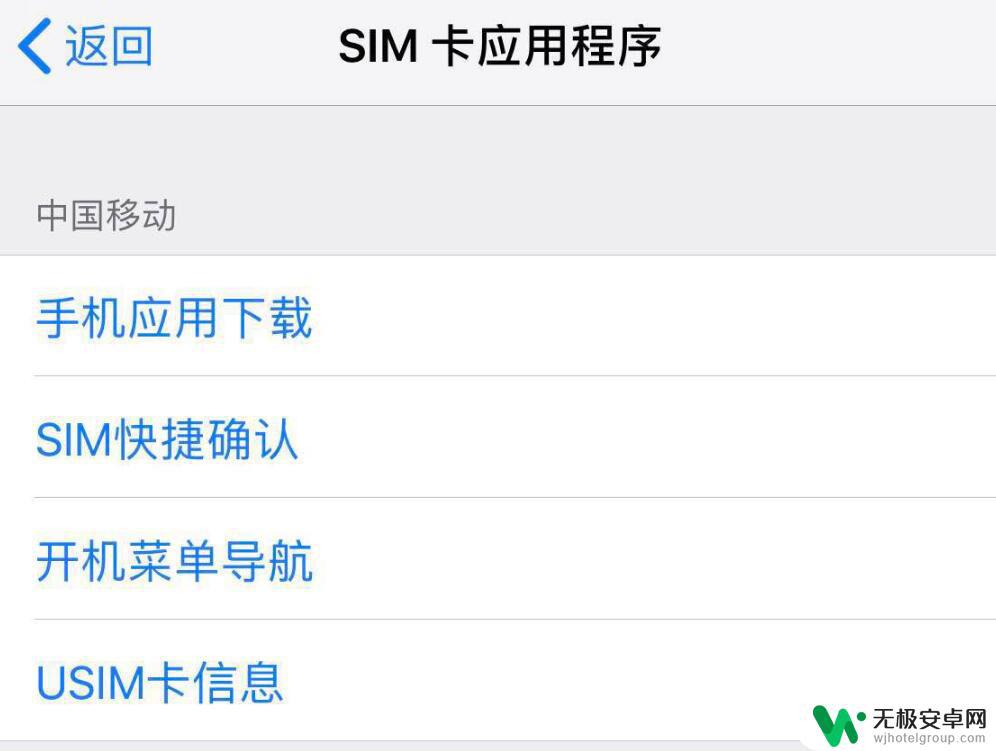 苹果手机老显示sim卡发送信息怎么办 如何解决 iPhone 经常弹出SIM 卡发送了一条文本信息的提示