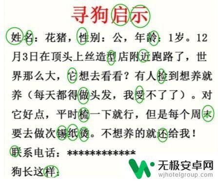 疯狂梗传 拯救动物 疯狂梗传 寻狗启示 错别字 通关攻略