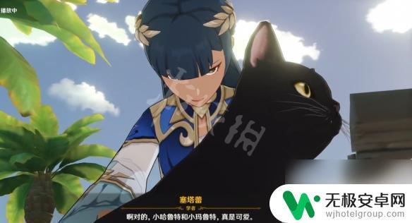 原神猫咪角色介绍 原神俩猫的名字是什么