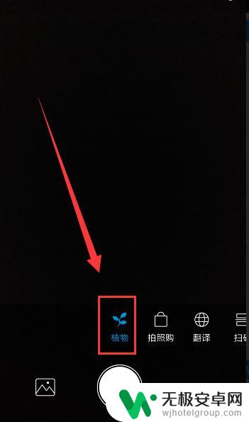 如何用小米手机识别植物 小米手机自带扫一扫怎么搜索植物