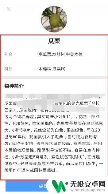 如何用小米手机识别植物 小米手机自带扫一扫怎么搜索植物