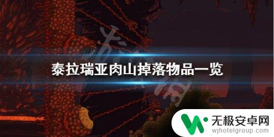 泰拉瑞亚 肉山掉落 《泰拉瑞亚》肉山掉落物品有哪些