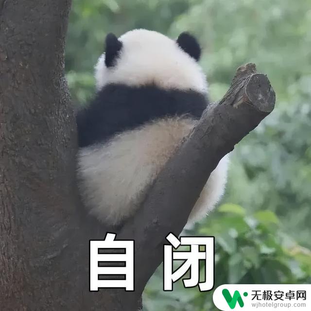 国产手机越来越向iPhone靠拢