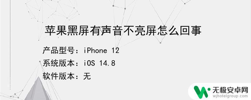 苹果手机有声音屏幕不亮怎么办 苹果手机黑屏有声音打不开怎么解决