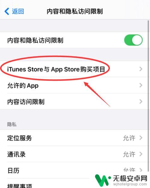 苹果手机没有软件商店怎么办 手机iPhone应用商店突然不见了怎么办